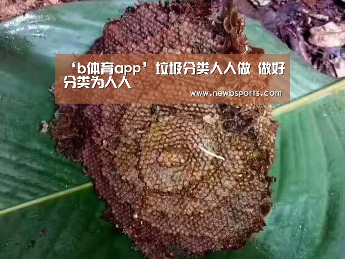 ‘b体育app’垃圾分类人人做 做好分类为人人(图2) 必一运动