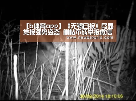 b体育