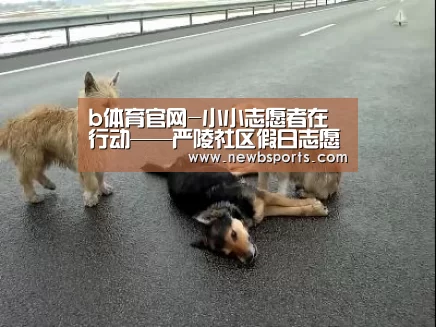 b体育官网-小小志愿者在行动——严陵社区假日志愿小分队(图3) b体育官网