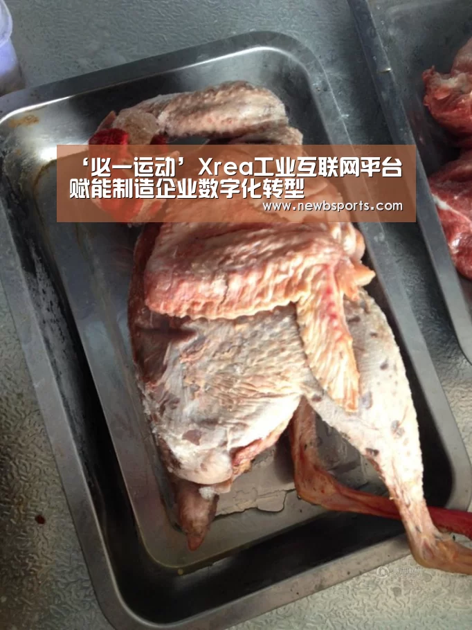 必一运动