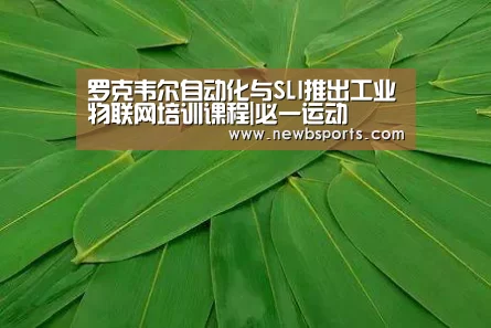 b体育官网