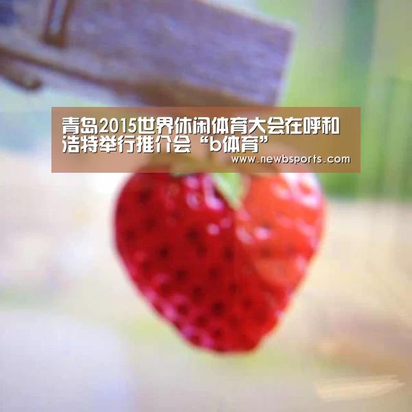 青岛2015世界休闲体育大会在呼和浩特举行推介会“b体育”(图1) b体育app