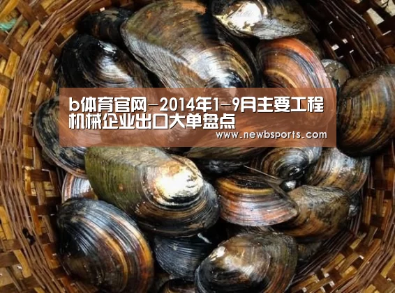 b体育官网-2014年1-9月主要工程机械企业出口大单盘点(图1) b体育官网
