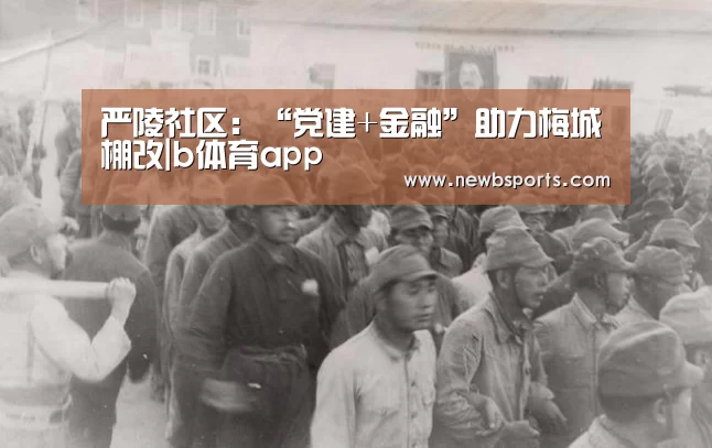 严陵社区:“党建+金融”助力梅城棚改|b体育app(图1) b体育官网
