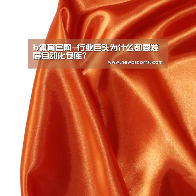b体育官网-行业巨头为什么都要发展自动化仓库?(图1) b体育